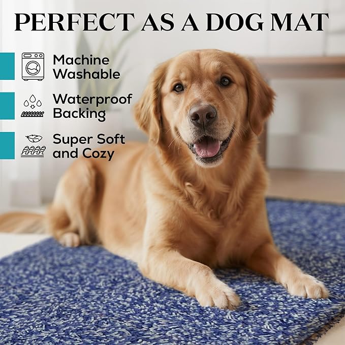 Premium Microfiber Indoor Door Mat – 36"x72" Washable Entry Mat, Non-Slip, Waterproof Backing, Super Absorbent, Low Profile Entryway Doormat for Indoor Entrance
