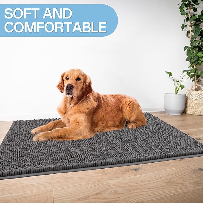 Amyracel Dirt Trapping Door Mat, 24" x 48" Large Absorbent Dog Door Mat for Muddy Paws, Quick Dry Non Slip Chenille Mud Mat for Dogs, Machine Washable Entry Indoor Entryway Rug for Inside Floor