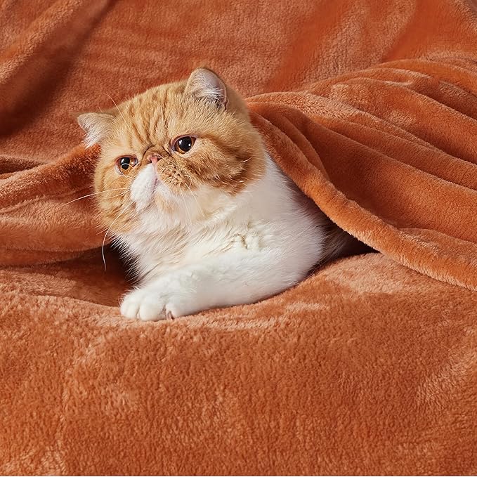 Bedsure GentleSoft Burnt Orange Fleece Blanket King Size - 280GSM Soft Lightweight Plush Cozy Blankets for Bed, Sofa, Couch, Travel, Camping