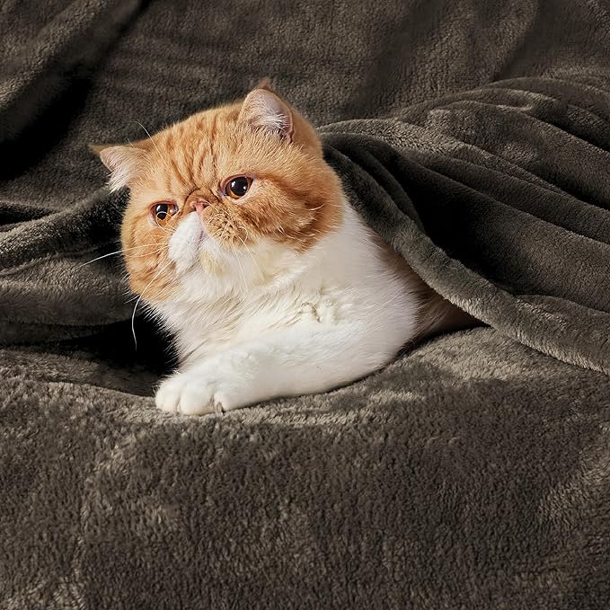 Bedsure GentleSoft Fleece Throw Blanket Brown - 300GSM Blankets for Couch, Sofa, Bed, Soft Lightweight Plush Cozy Throws for Toddlers, 50x60 inches