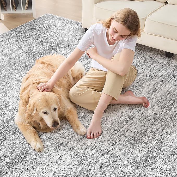 Area Rug Living Room Rugs - 5x7 Abstract Large Soft Indoor Washable Rug Neutral Modern Low Pile Carpet for Bedroom Dining Room Farmhouse Home Office - Vintage Grey