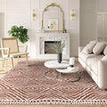 6x9 Area Rug, Ultra-Soft Washable Rug for Living Room, Dinner Room, Bedroom, Non-Slip Modern Westren Rug, Indoor Carpet Large Area Rug, Brown Red