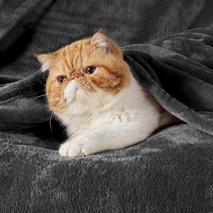 Bedsure GentleSoft Fleece Blanket California King Size Charcoal - Lightweight Plush Fuzzy Cozy Soft Bed Blankets, 102x96 inches